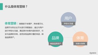 数据行业新篇章 互联网数据中心与199it引领的互联网数据服务